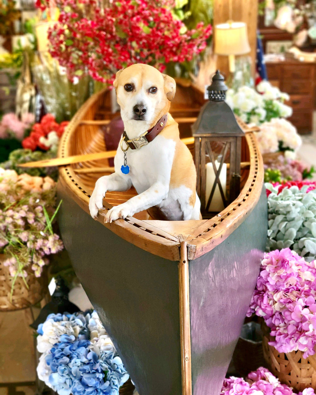 Sail Into Summer With Us