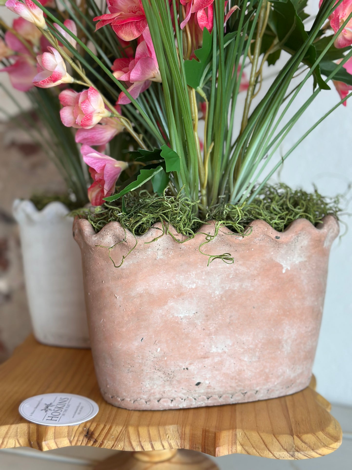Pink Garden Delphinium in Clay Pot