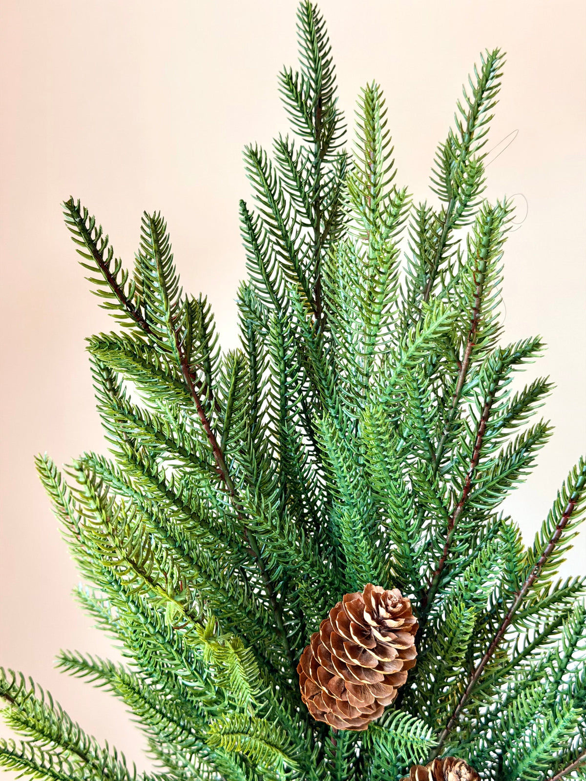 24" JUST CUT MINI FIR /CONE SPRAY