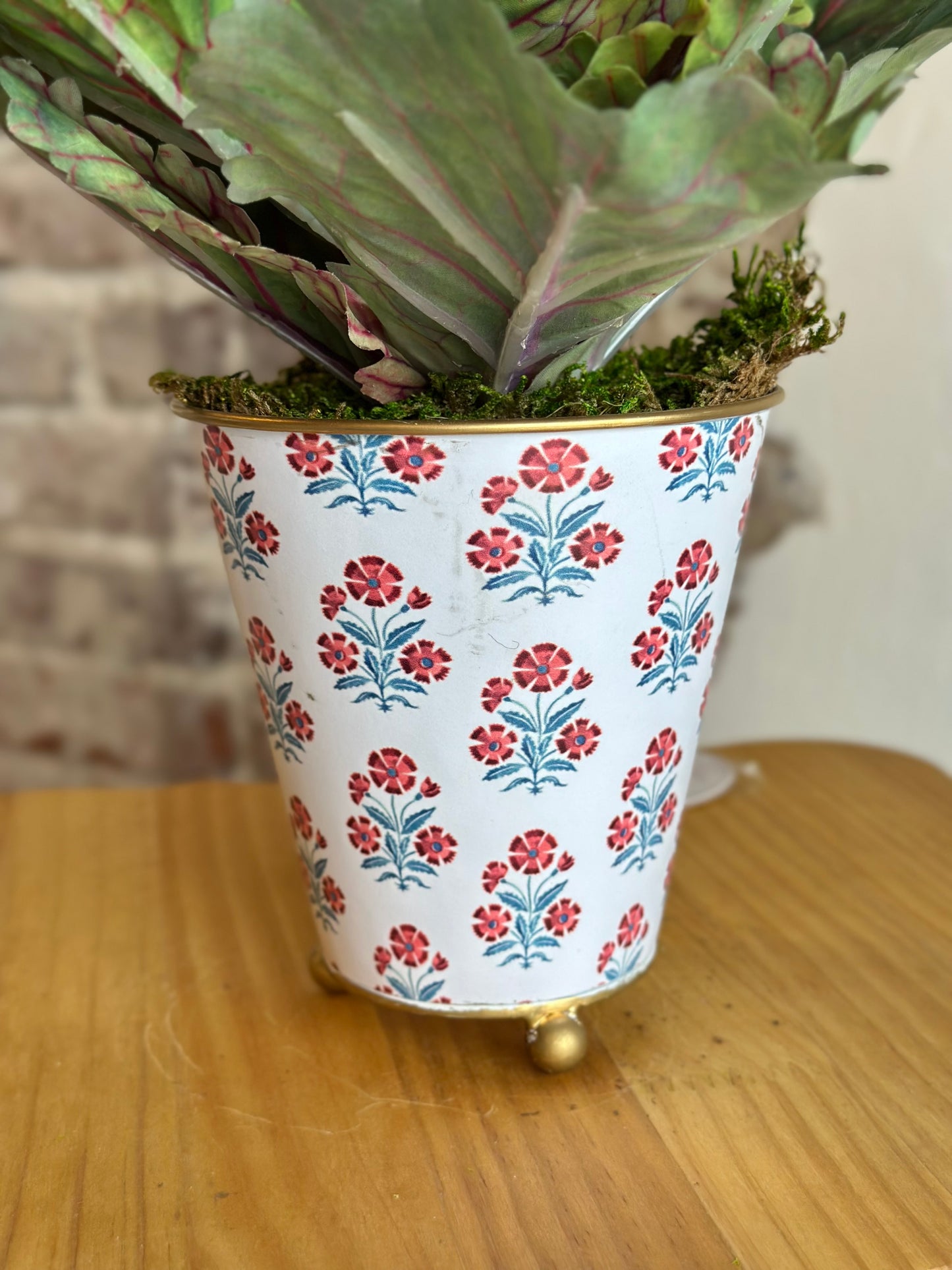 Potted Cabbage