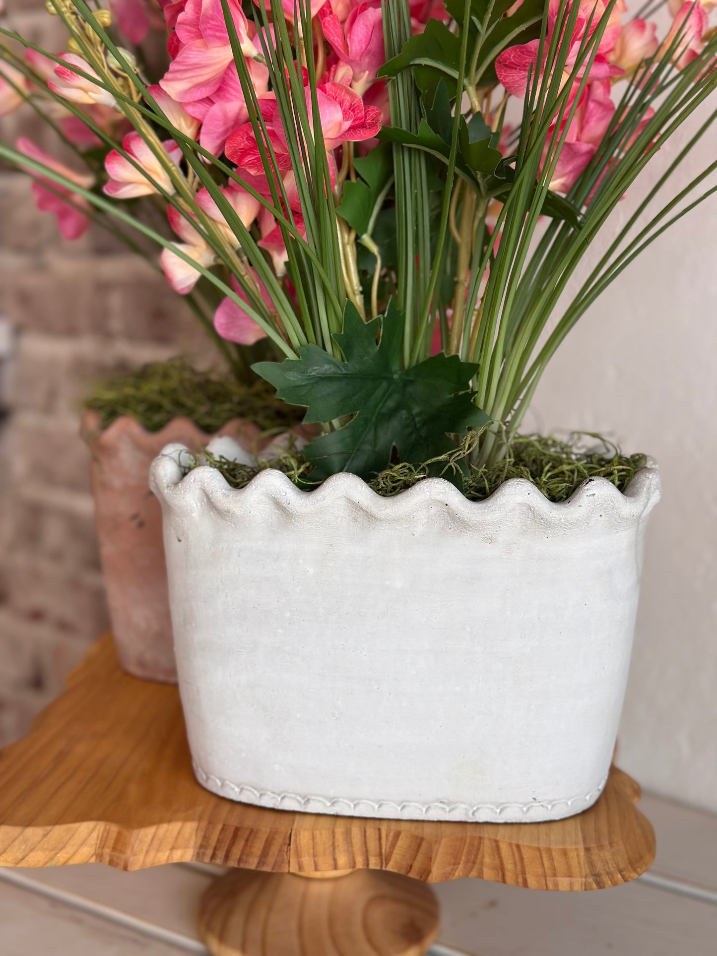 Pink Garden Delphinium in Clay Pot