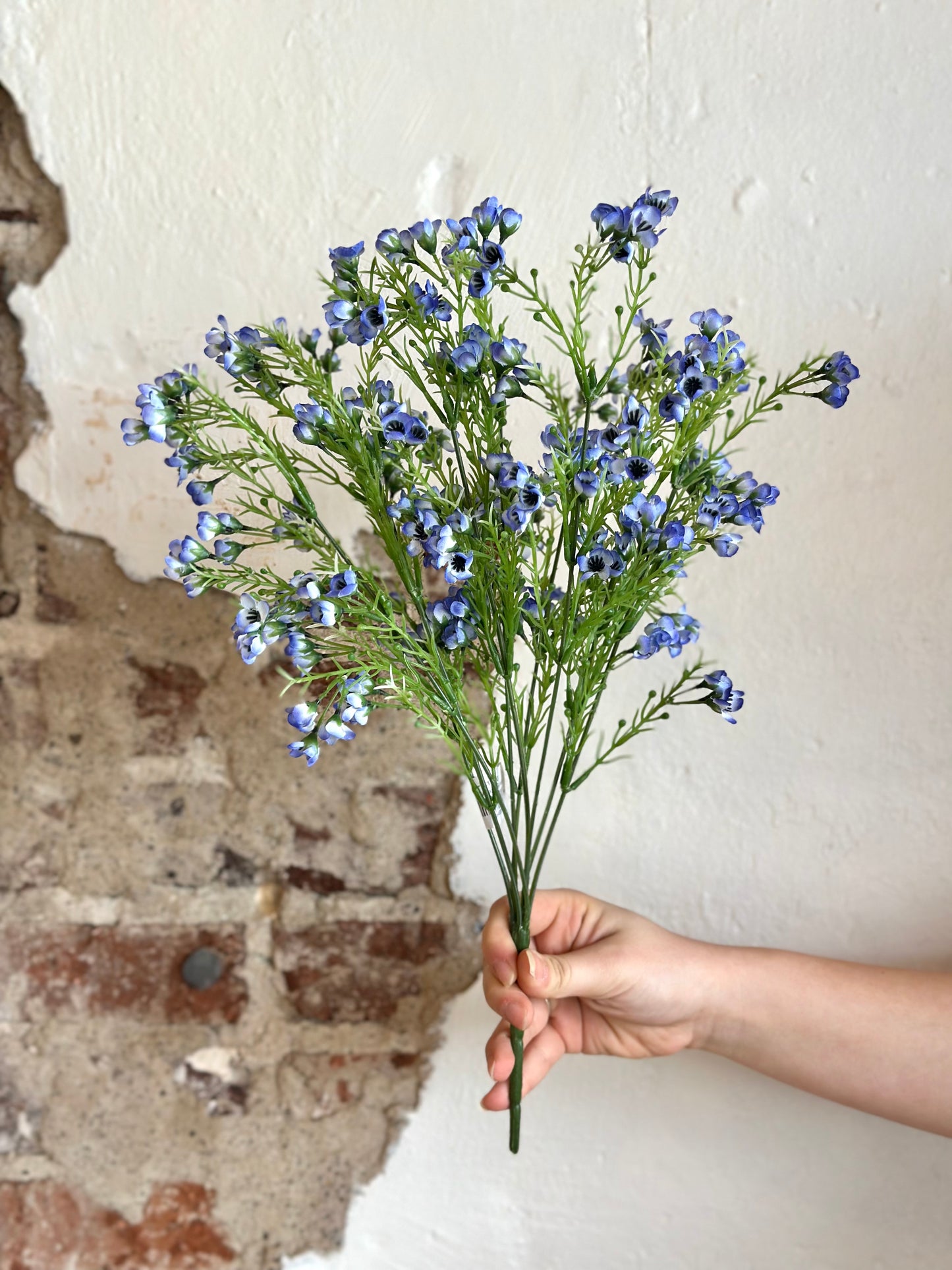 19" Waxflower Bush