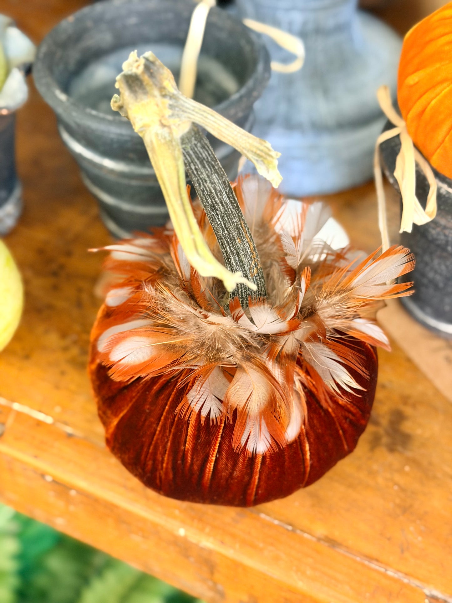 5" Apricot Velvet Pumpkin with Partridge Feather Collar