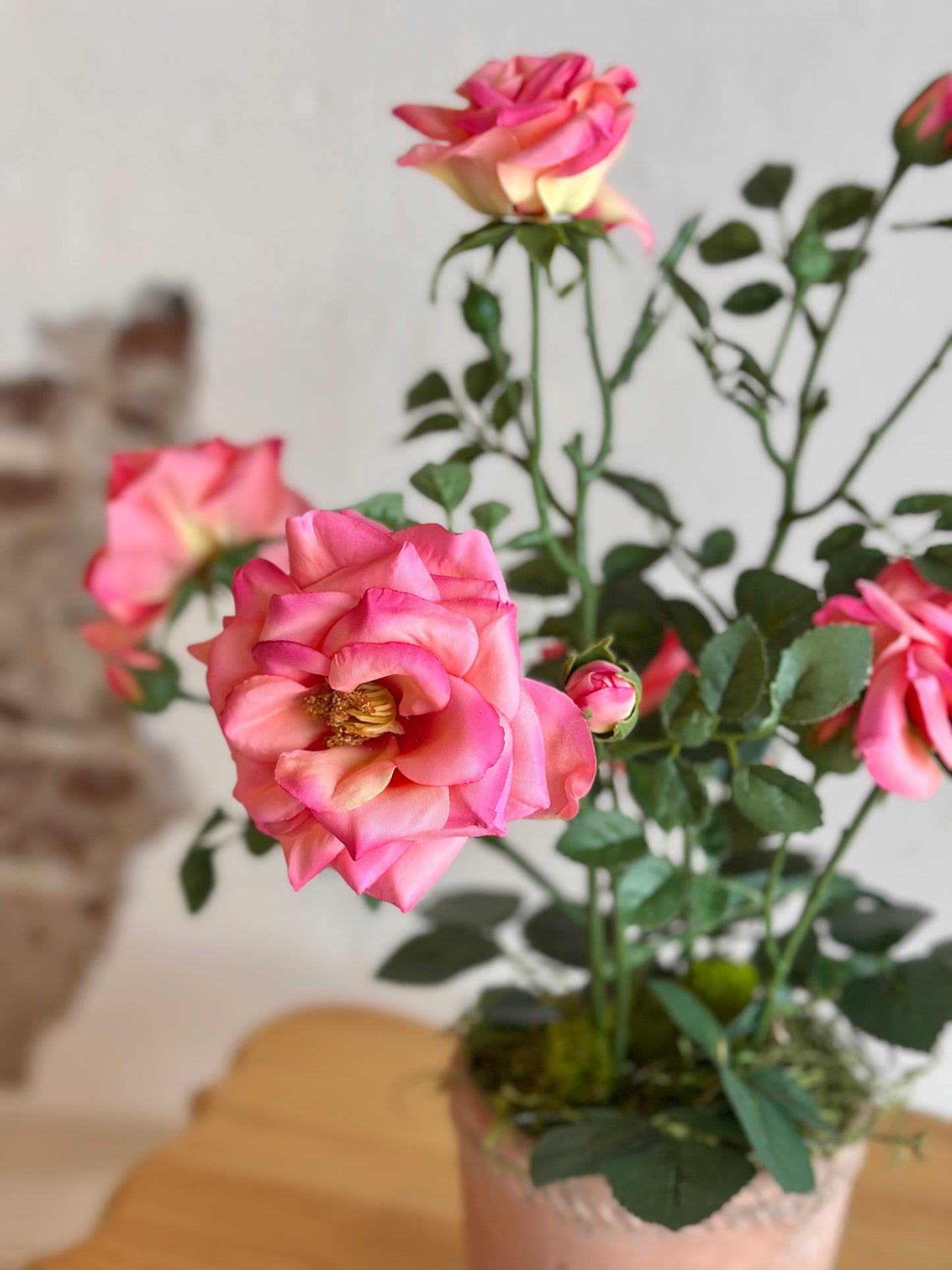 Pink Potted Roses