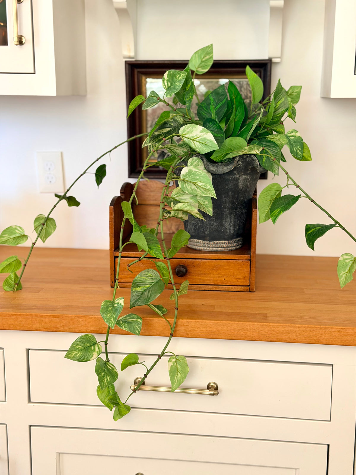 Potted Pathos