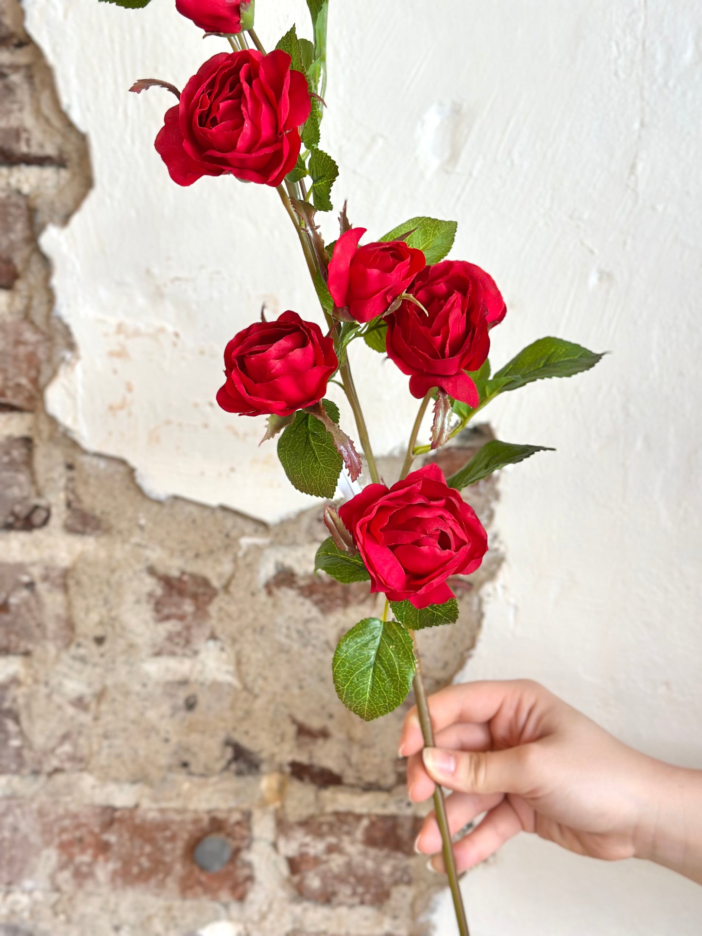 37" Just Cut Garden Rose Branch