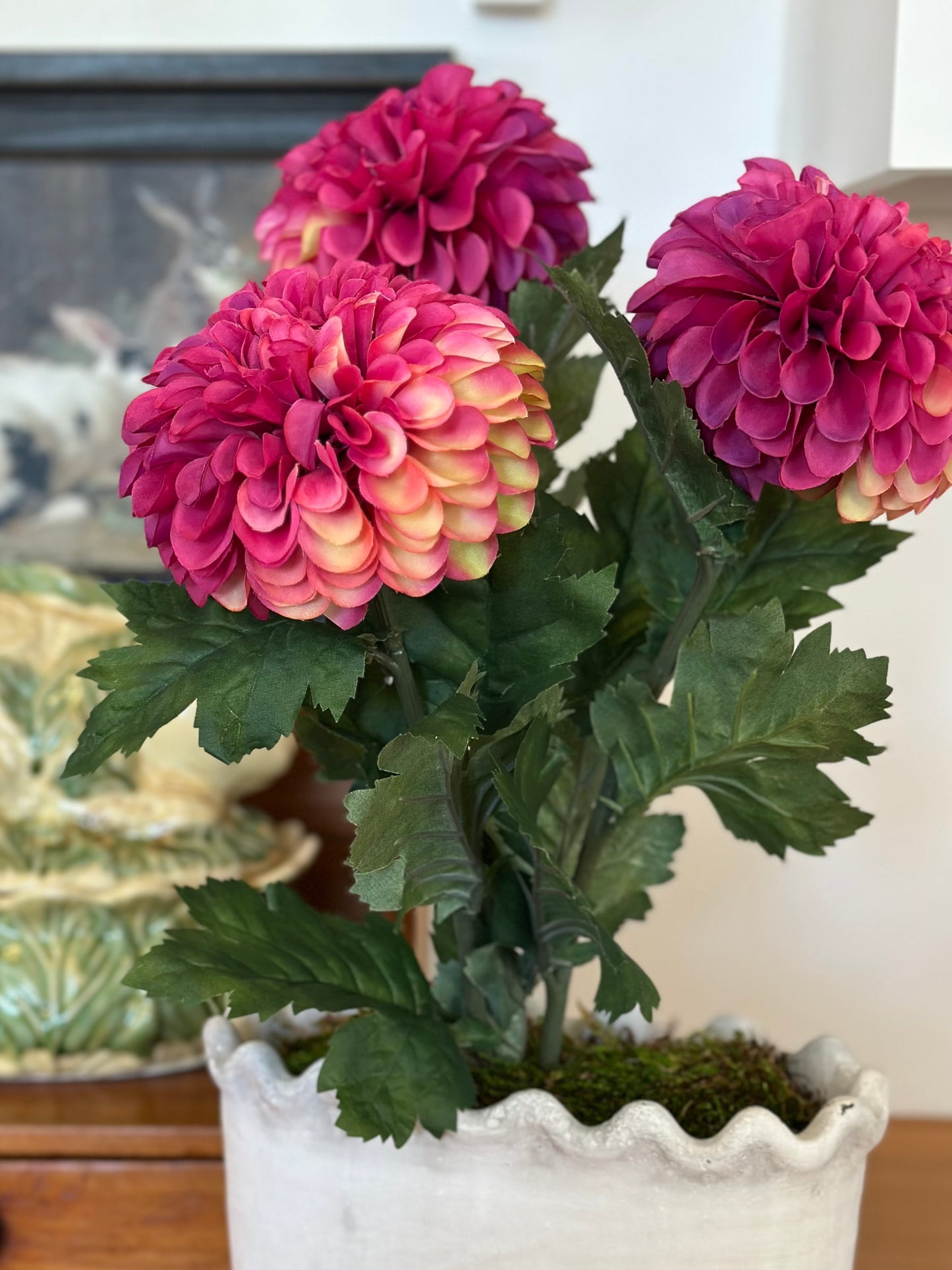 Potted Dahlia