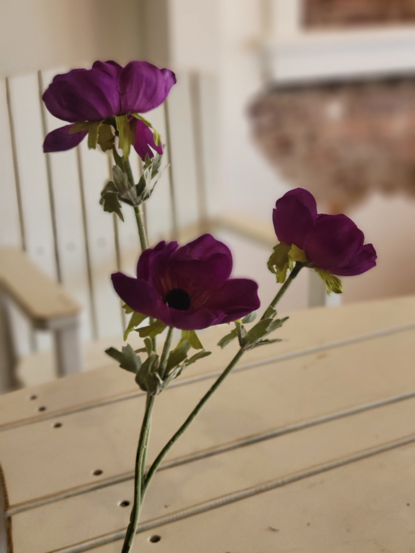 Purple Poppy Stem