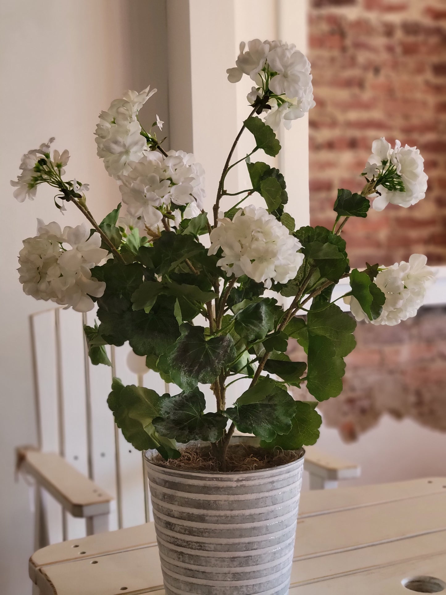 White Geranium