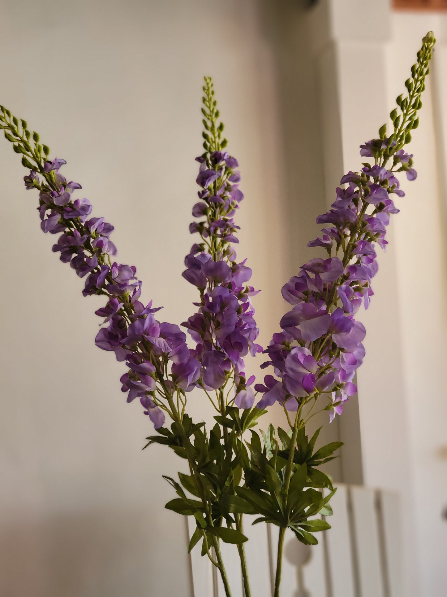 Purple Delphinium