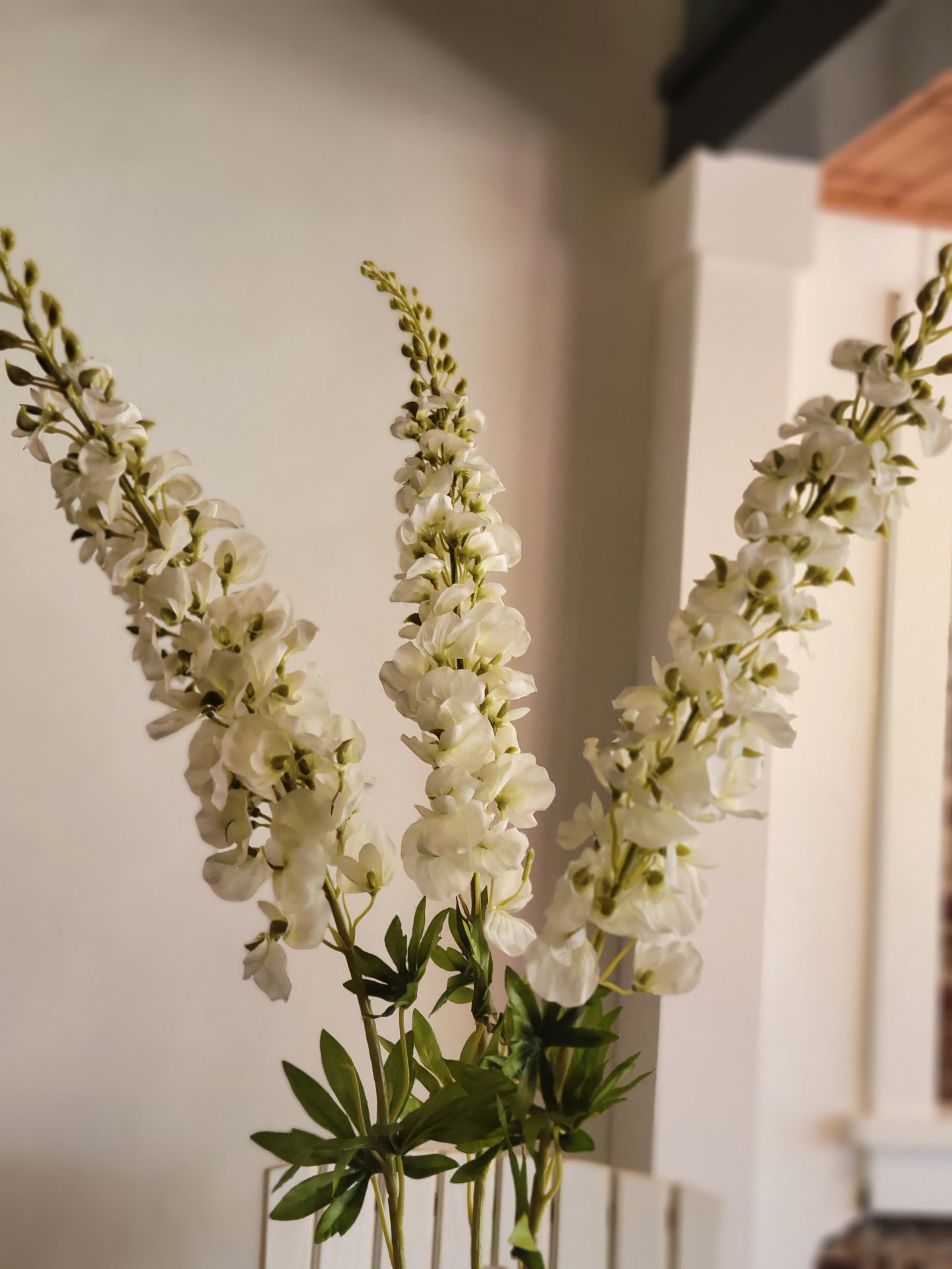 White Delphinium