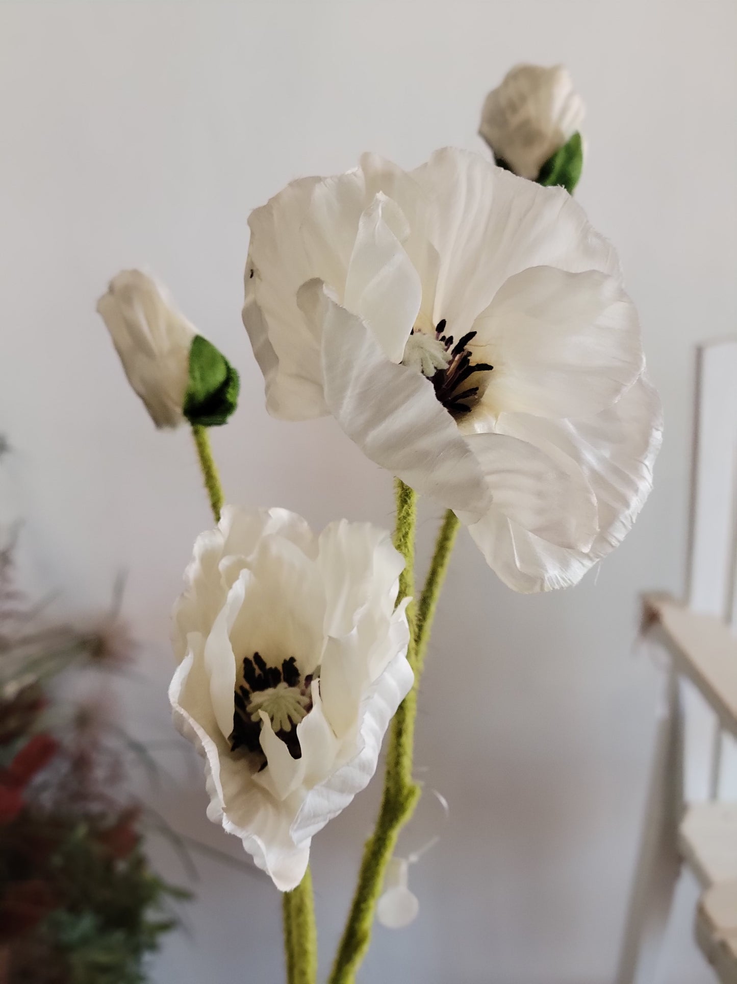 White Poppy Stem