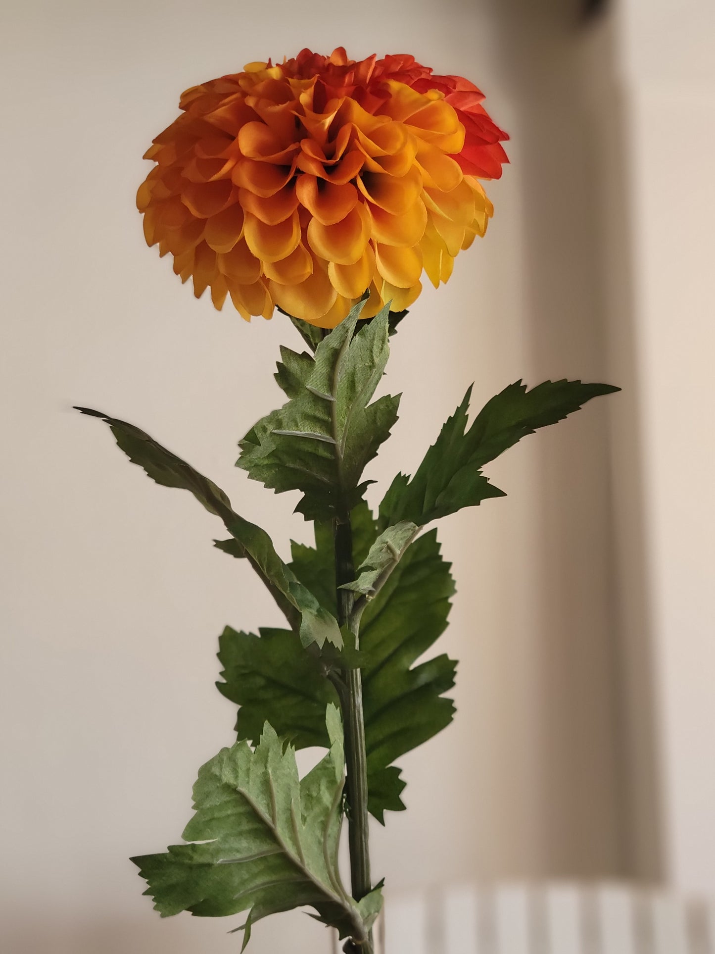 Orange/Yellow Dahlia Stem