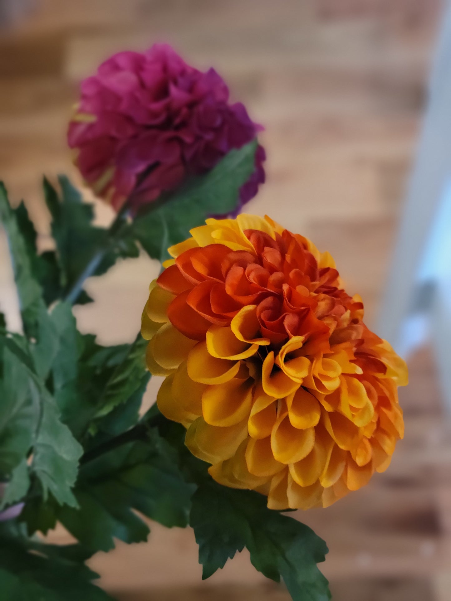 Orange/Yellow Dahlia Stem