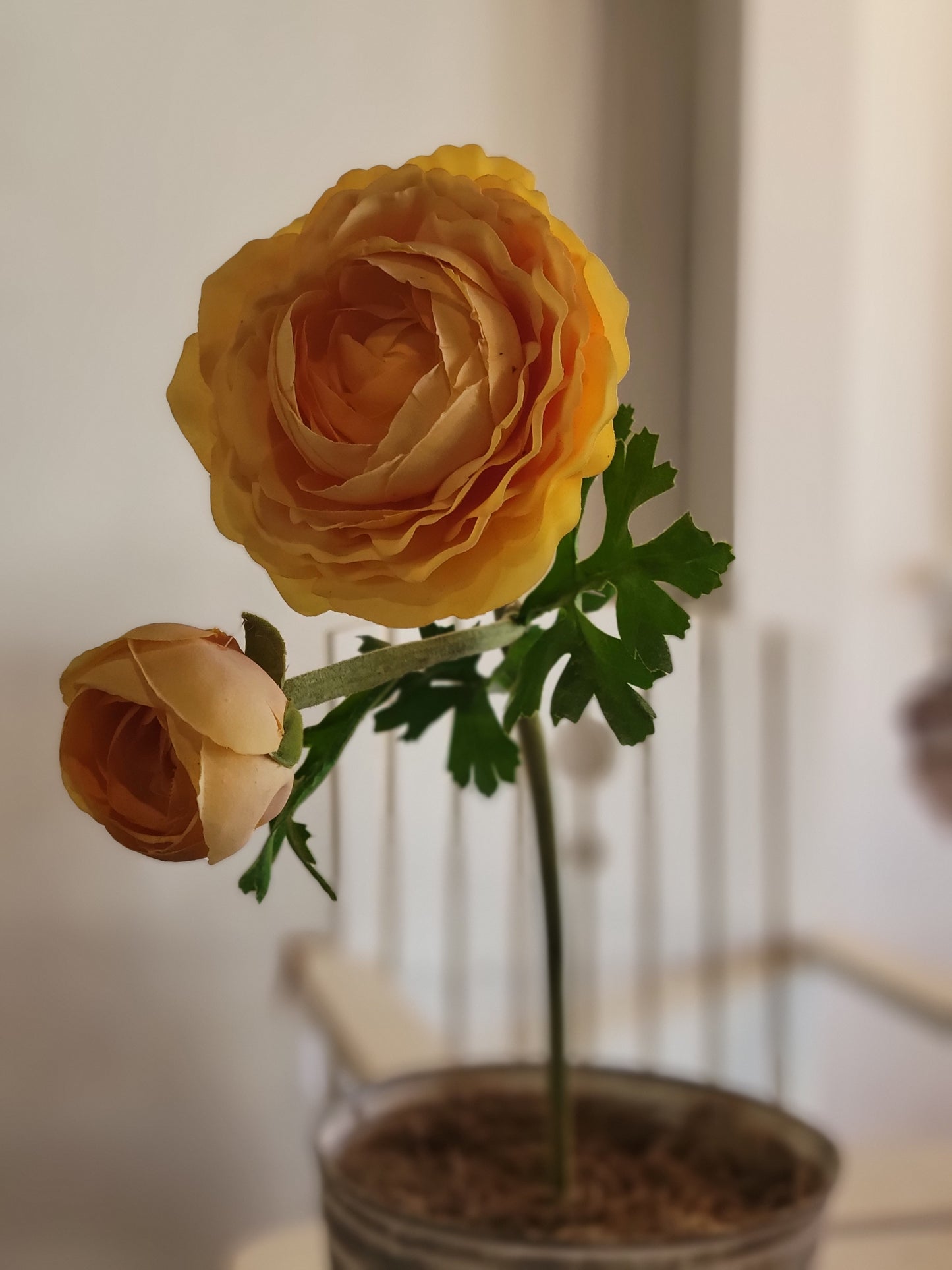 Real Touch Ranunculus