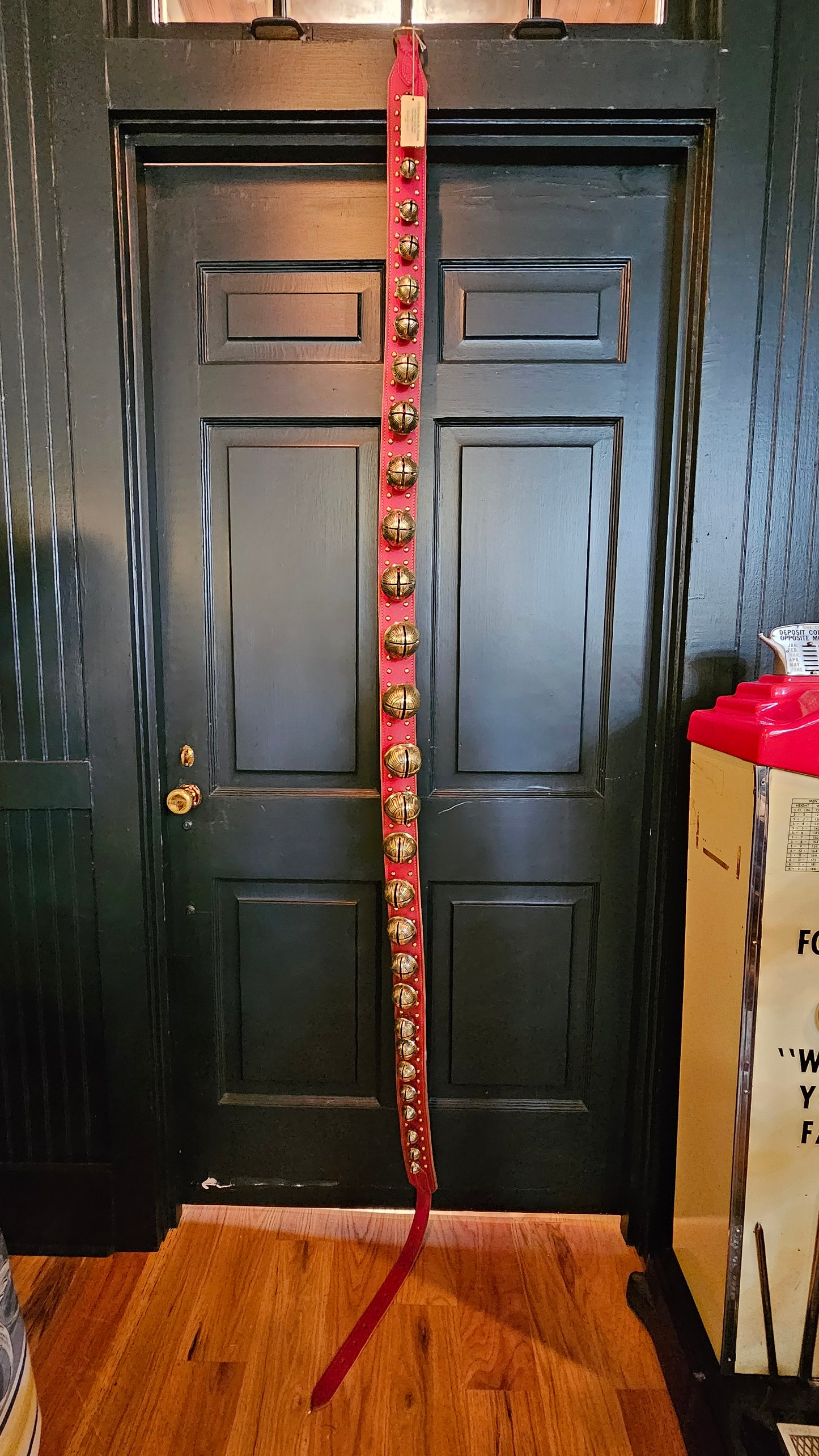 29 Solid Brass Belsnickel Bells on Red Stitched & Studded Strap w/ Large Ring