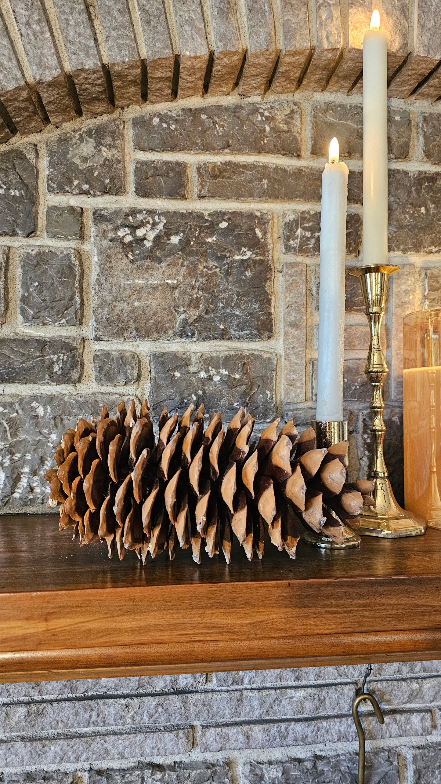 Sugar Pinecone