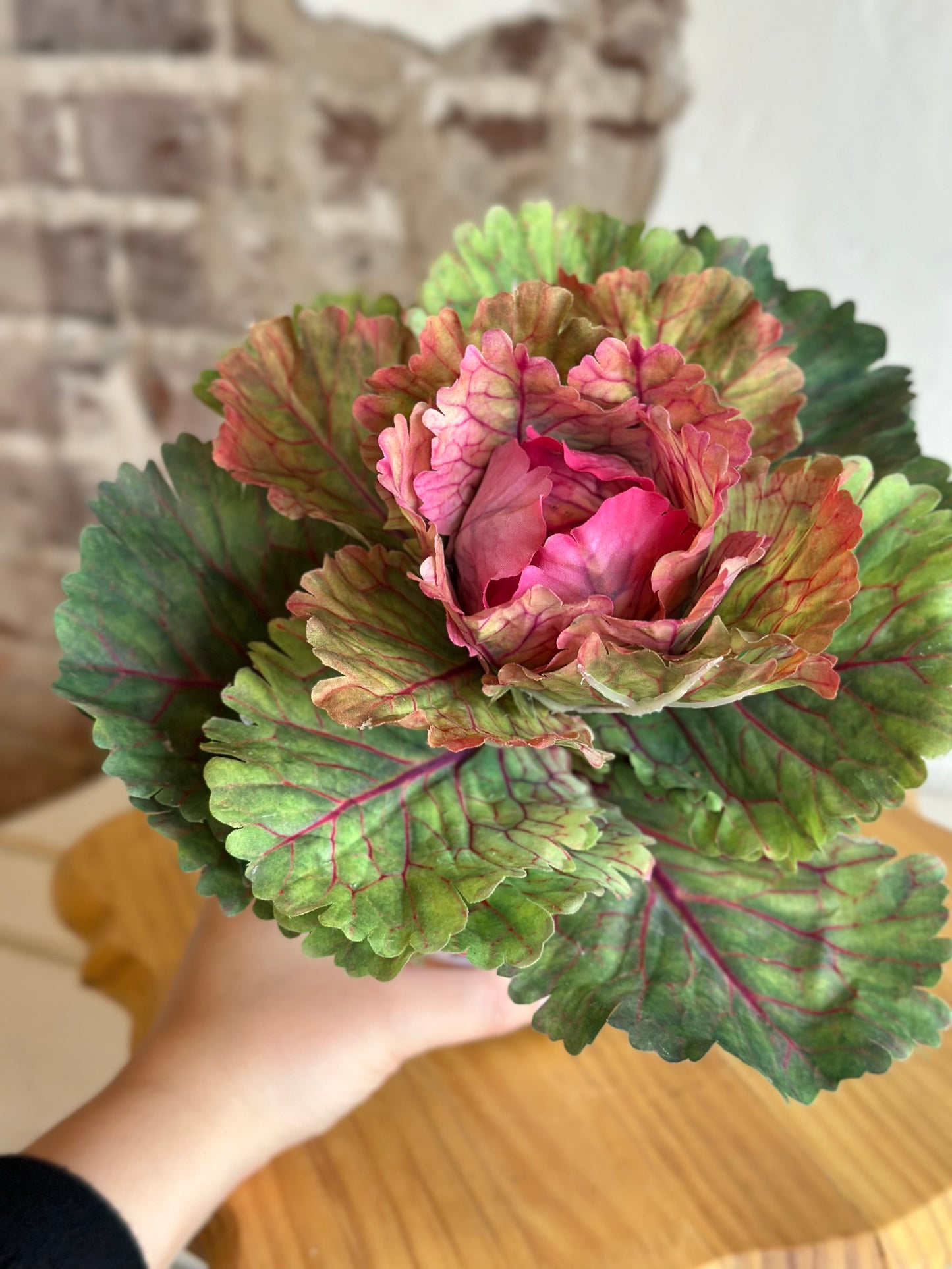 Potted Cabbage
