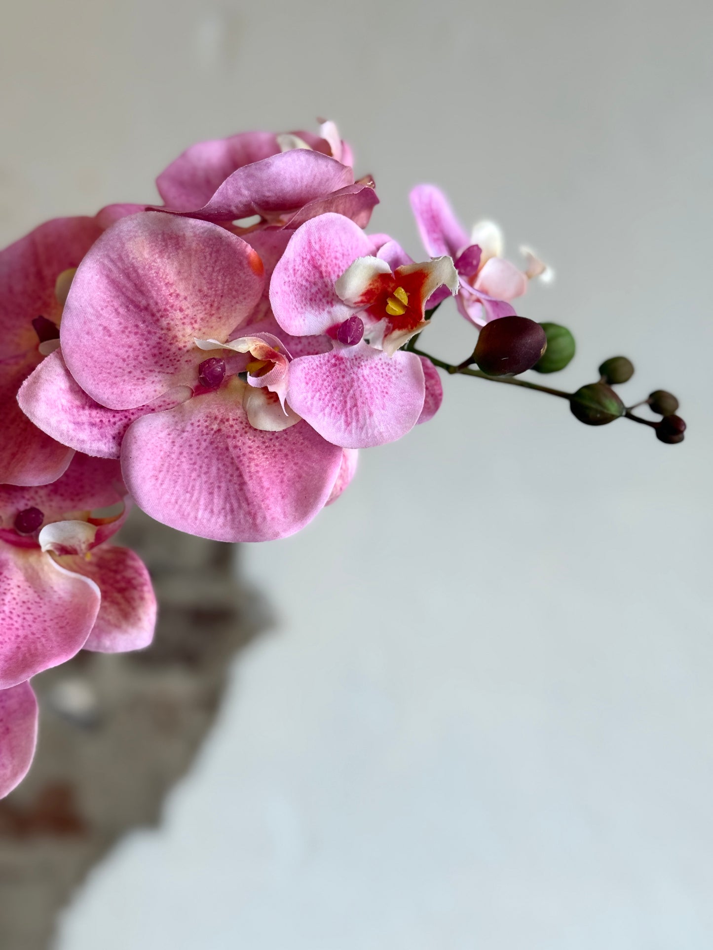 34" Natural Touch Phaleanopsis Blush Pink Orchid