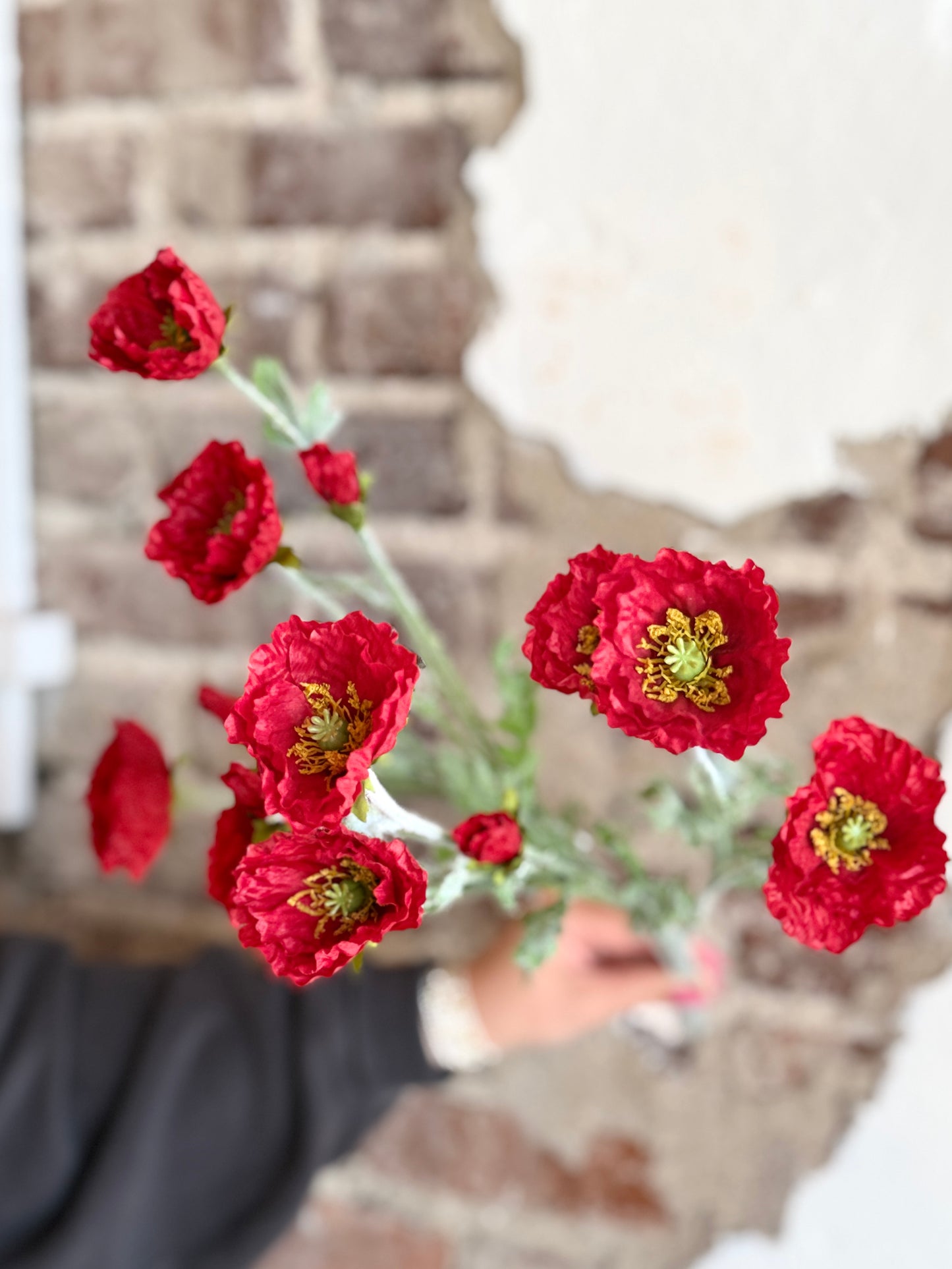 COSMOS BUSH X3 20" (COLOR OPTIONS)