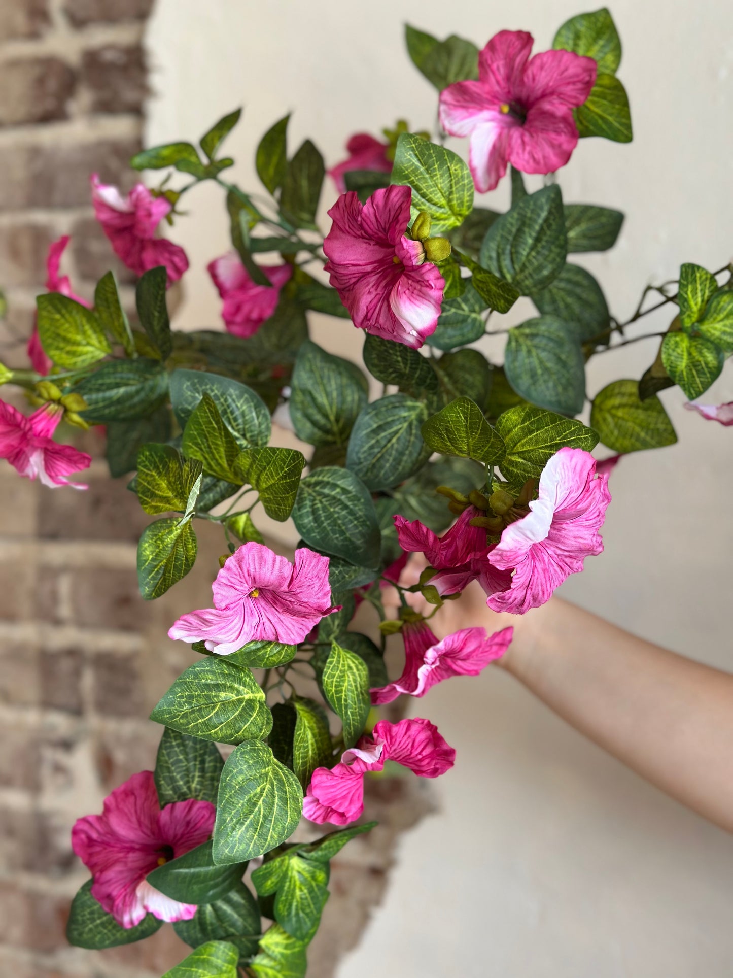 18" Petunia Bush/Vine - Magenta