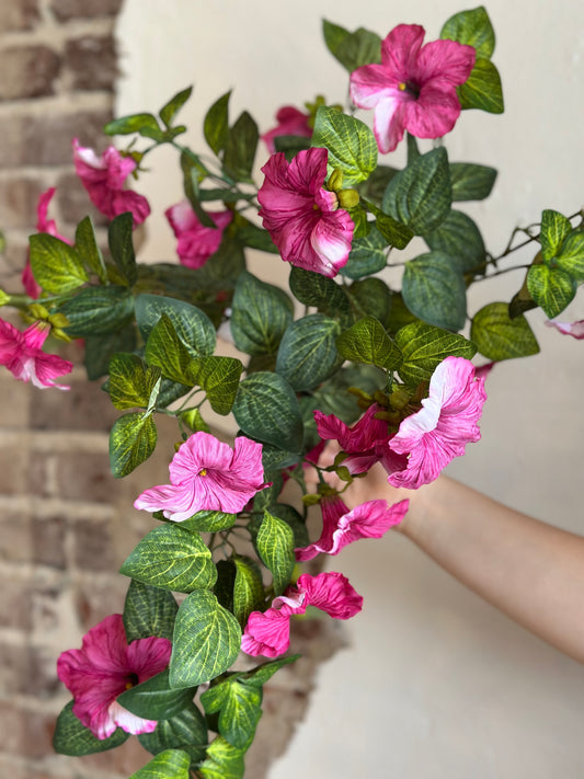 18" Petunia Bush/Vine - Magenta
