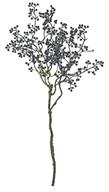 21" Mini Pearl Seed Spray- Black