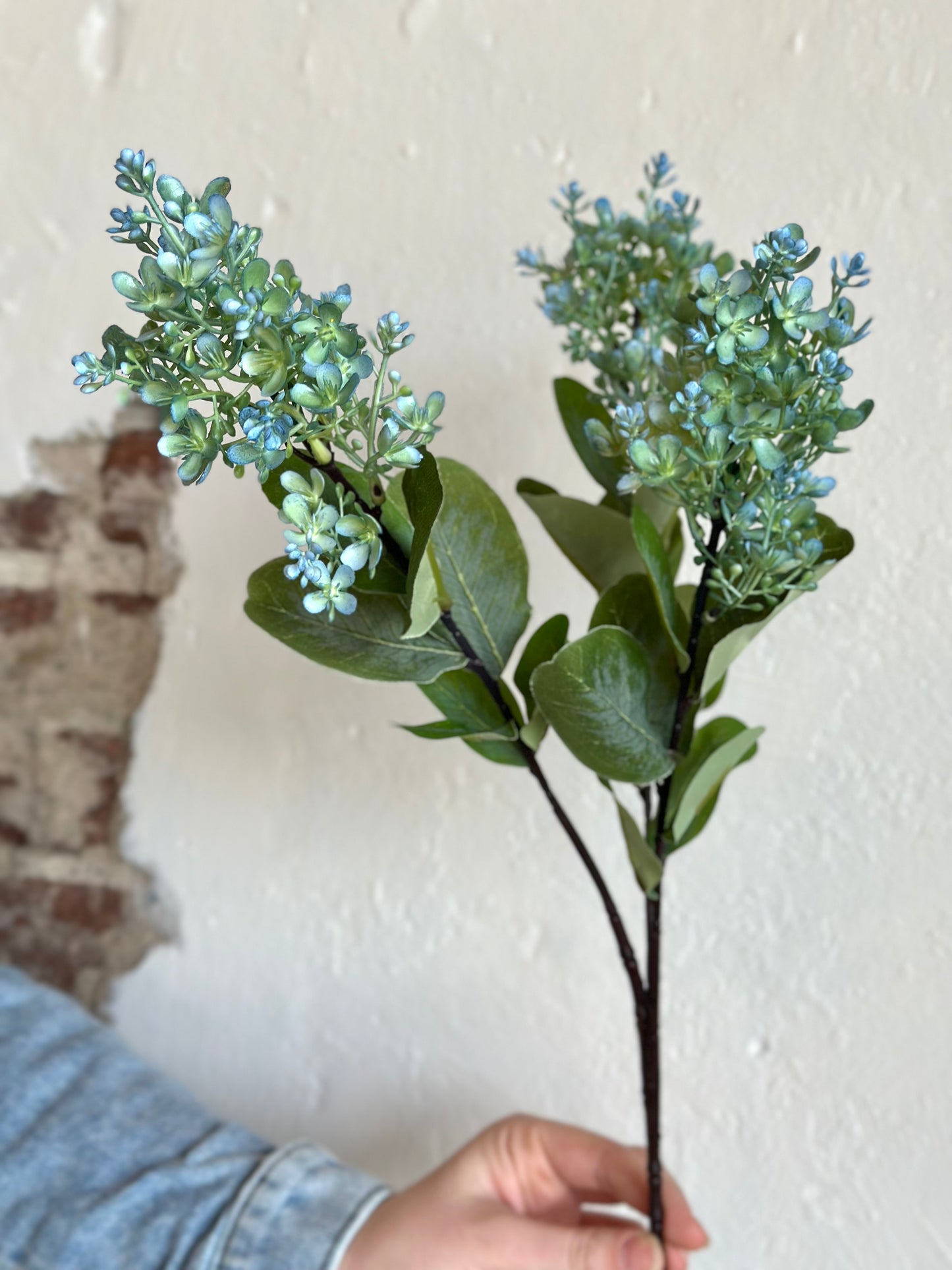 SEEDED PEEGEE HYDRANGEA 29" BLUE