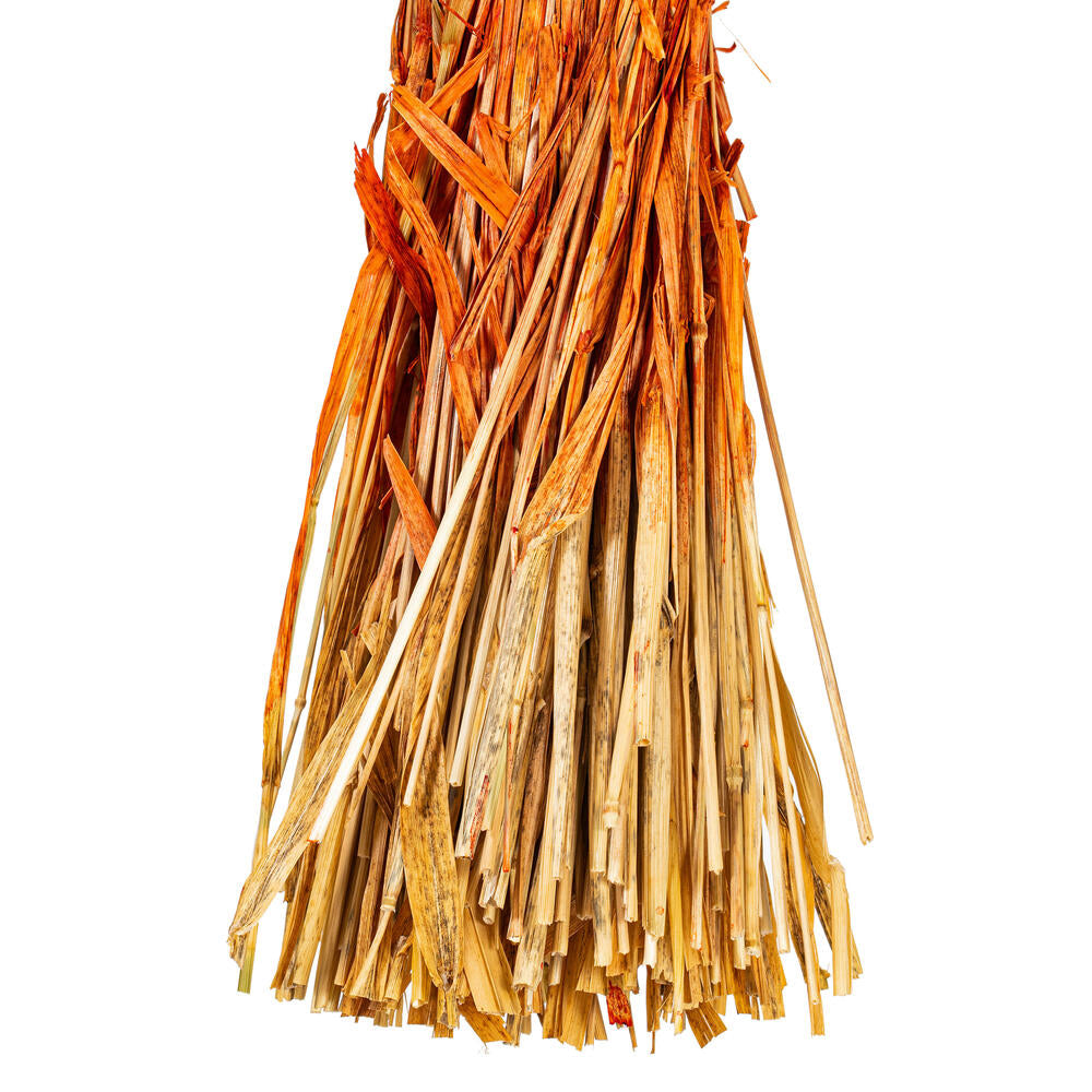 26” Orange Phalaris Bunch, Preserved