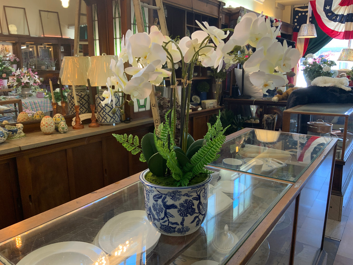Triple White Orchid & Fern in Ceramic Pot 22”