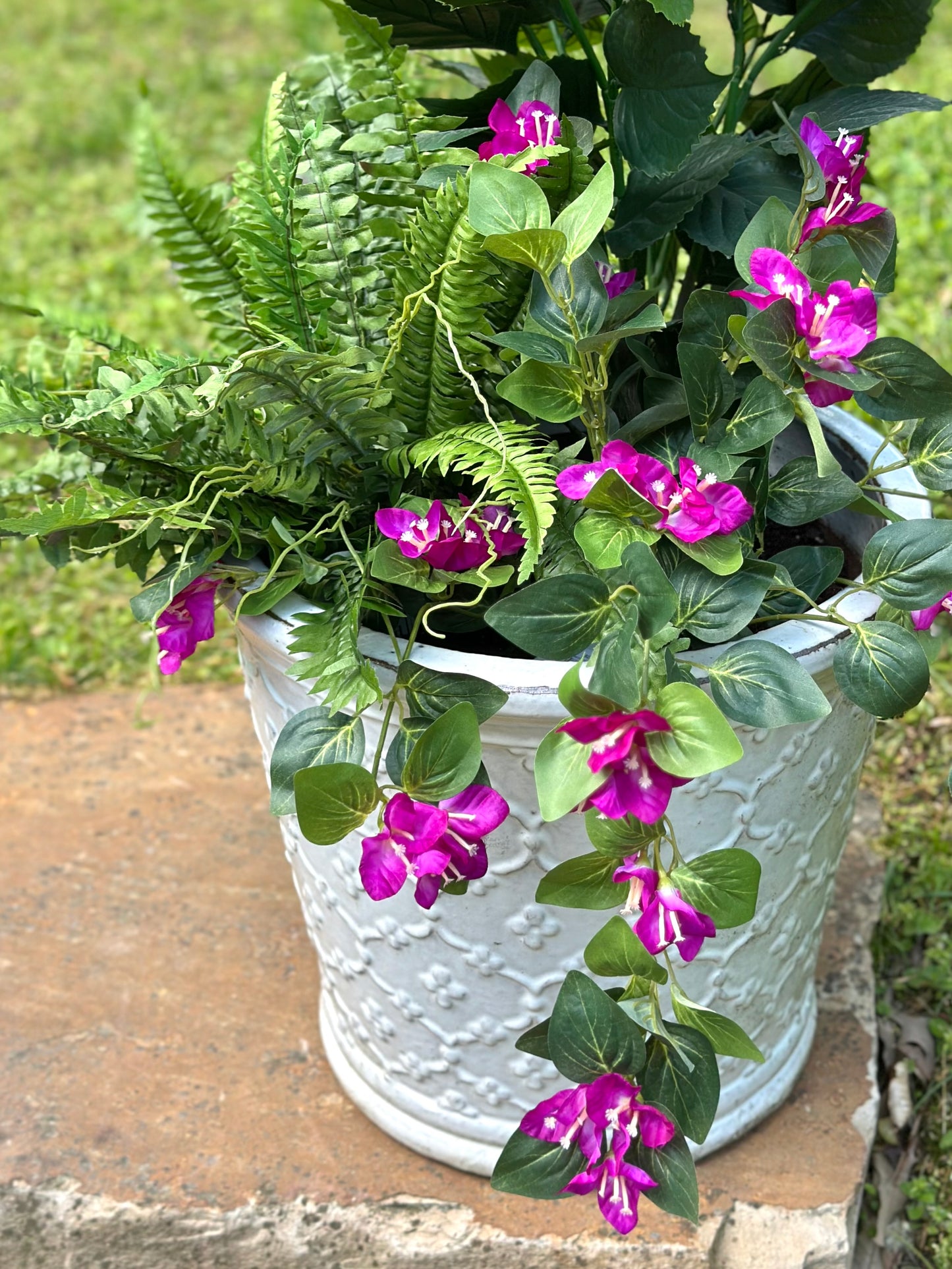 22” UV Estate Boston Fern