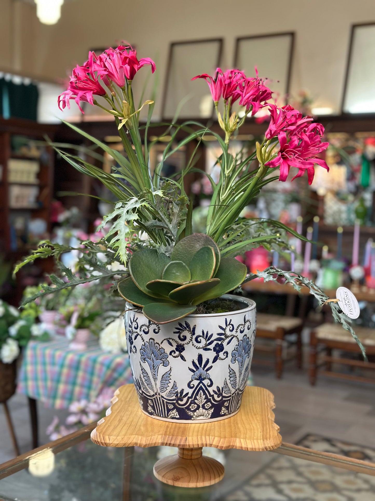 Succulent Garden in Porcelain Pot