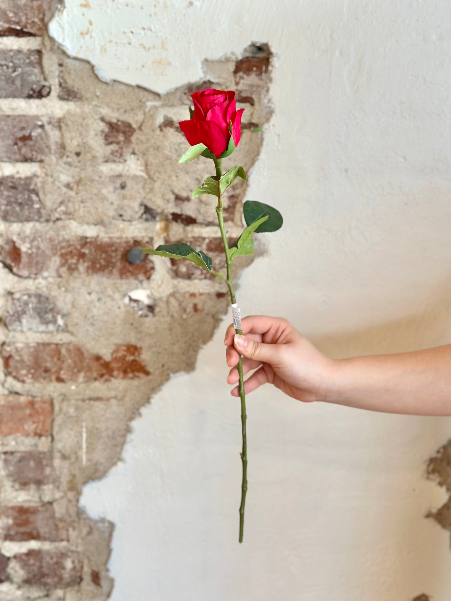 21" Rina Rose Bud Stem