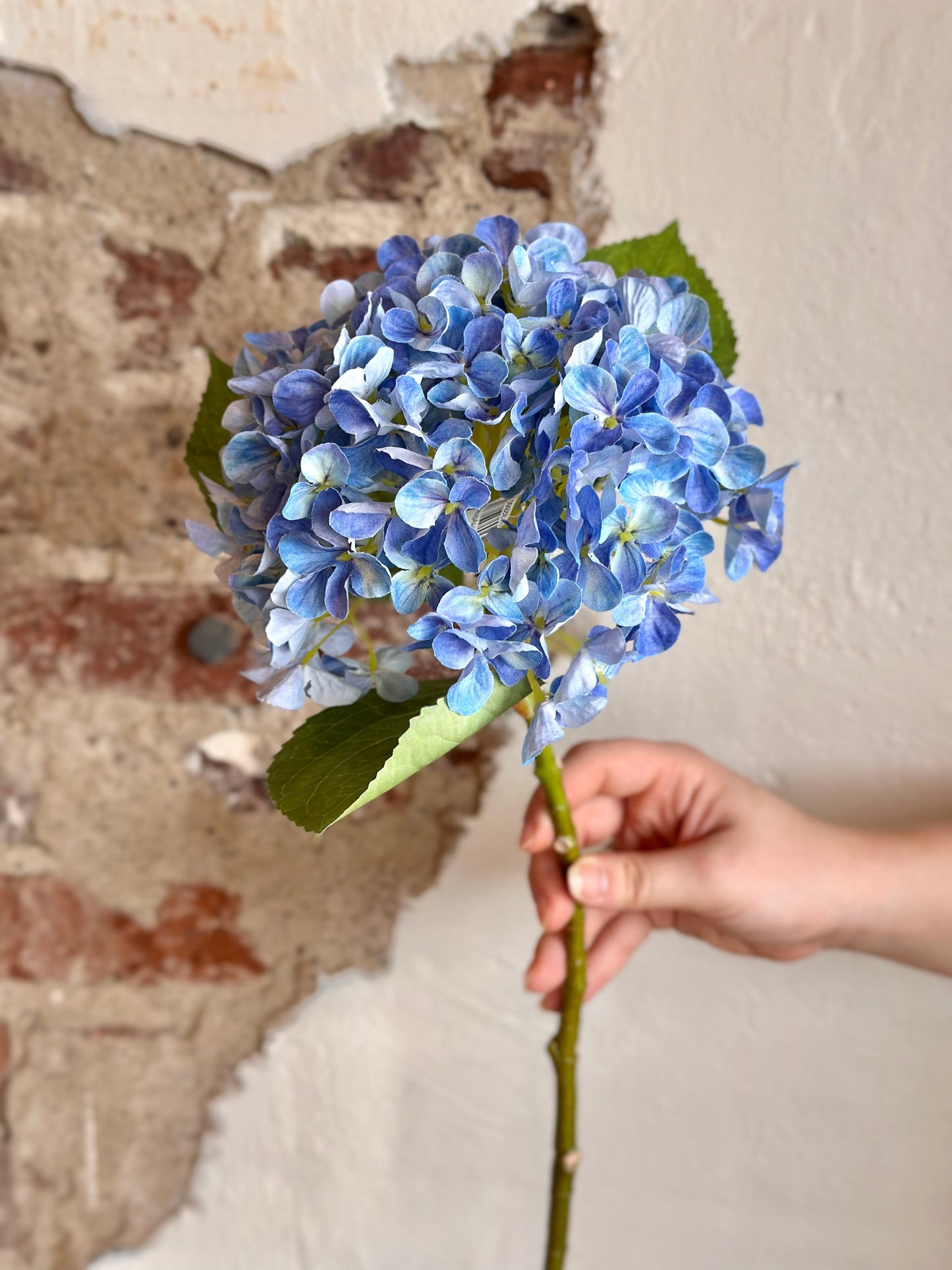 19" New England Hydrangea Stem