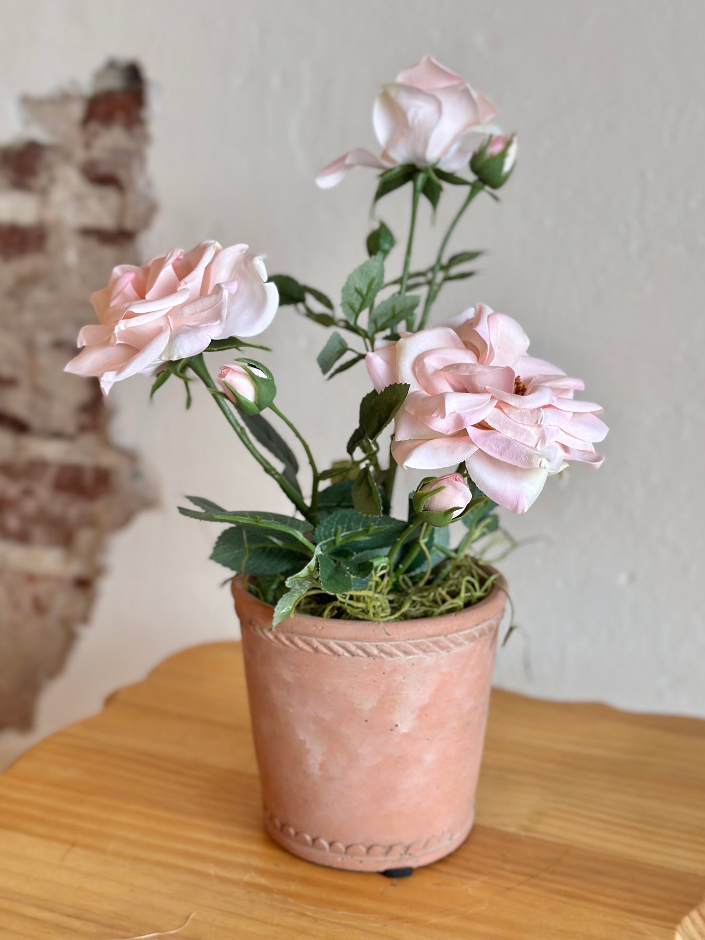 Blush Potted Roses