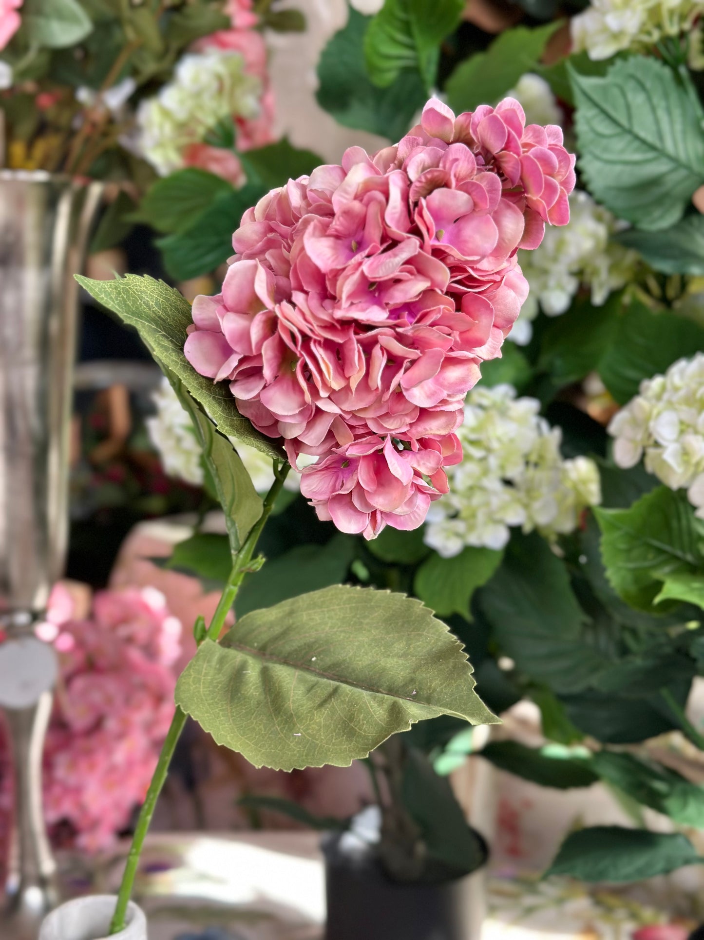 29" UV GRANDE SUMMER PEEGEE HYDRANGEA