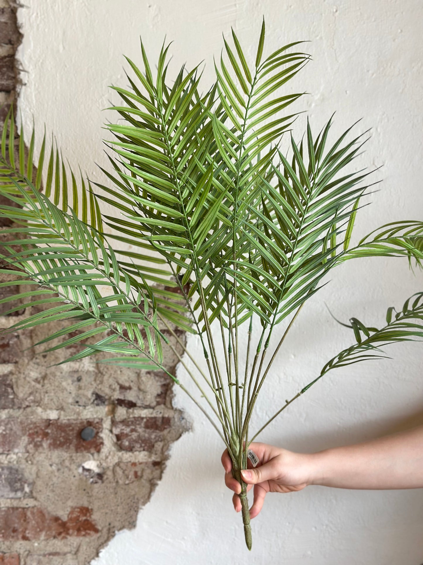 ARECA PALM PLANT, 30"