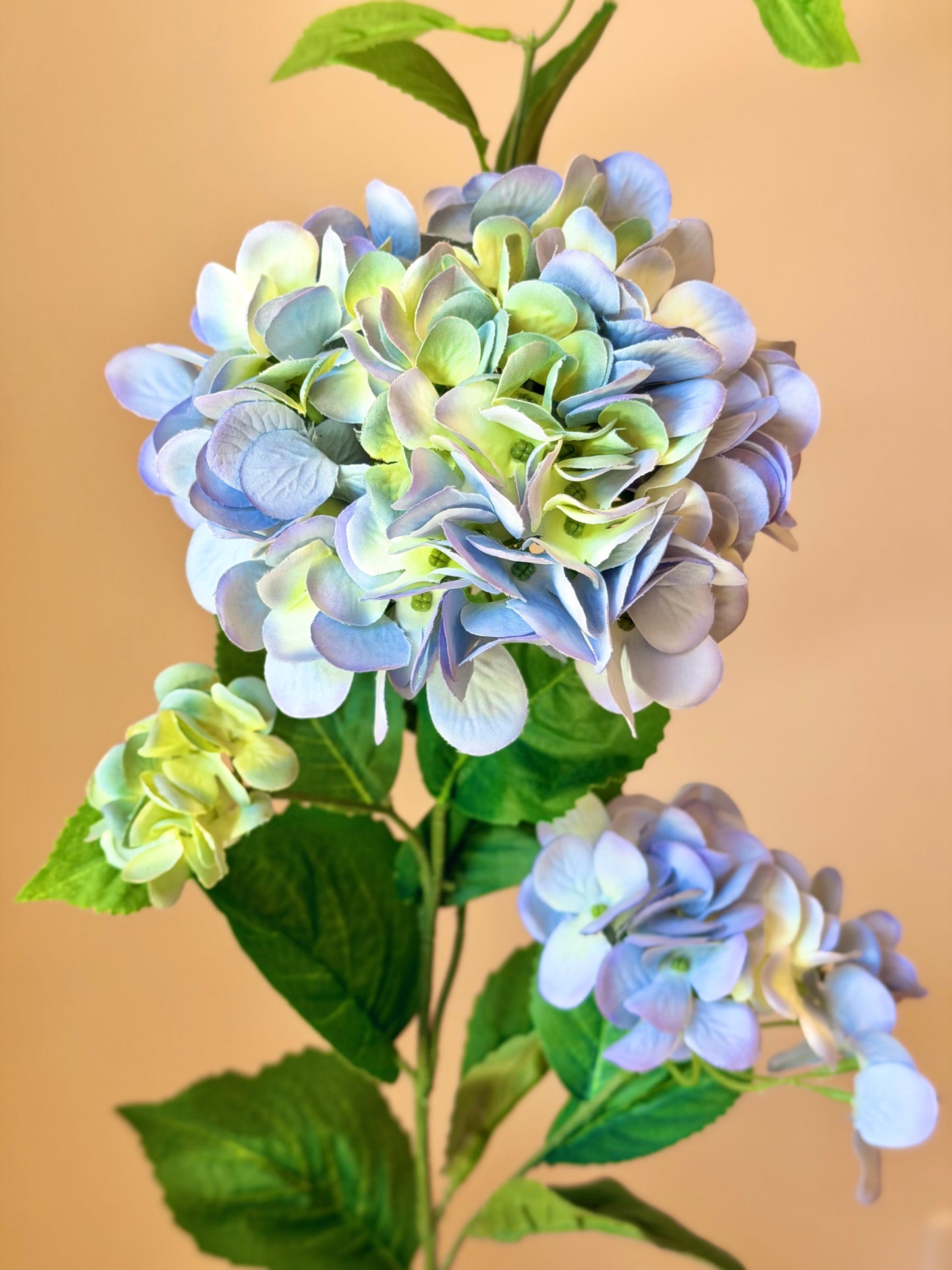 38.5” Blue Cone Hydrangea Stem