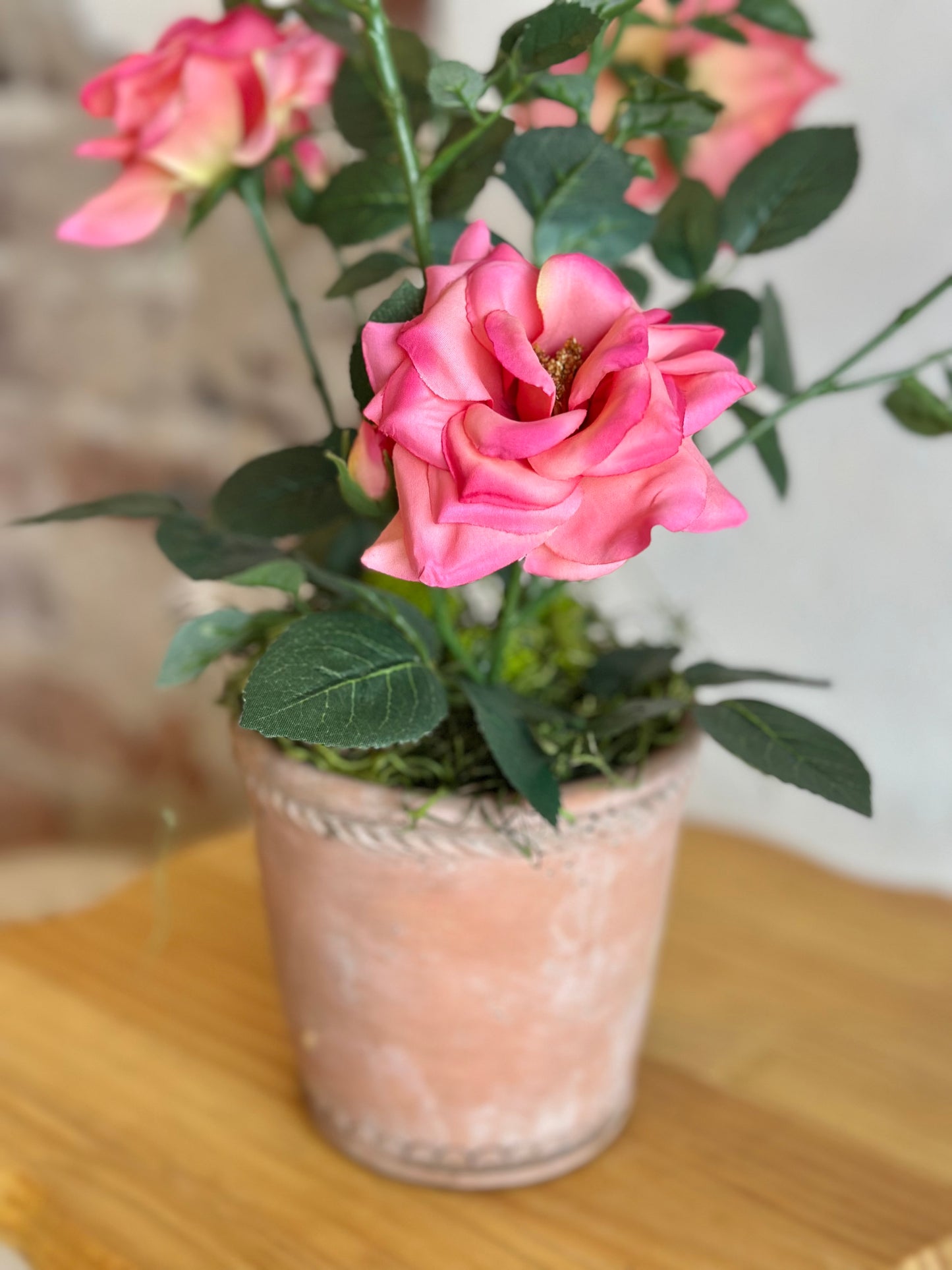 Pink Potted Roses