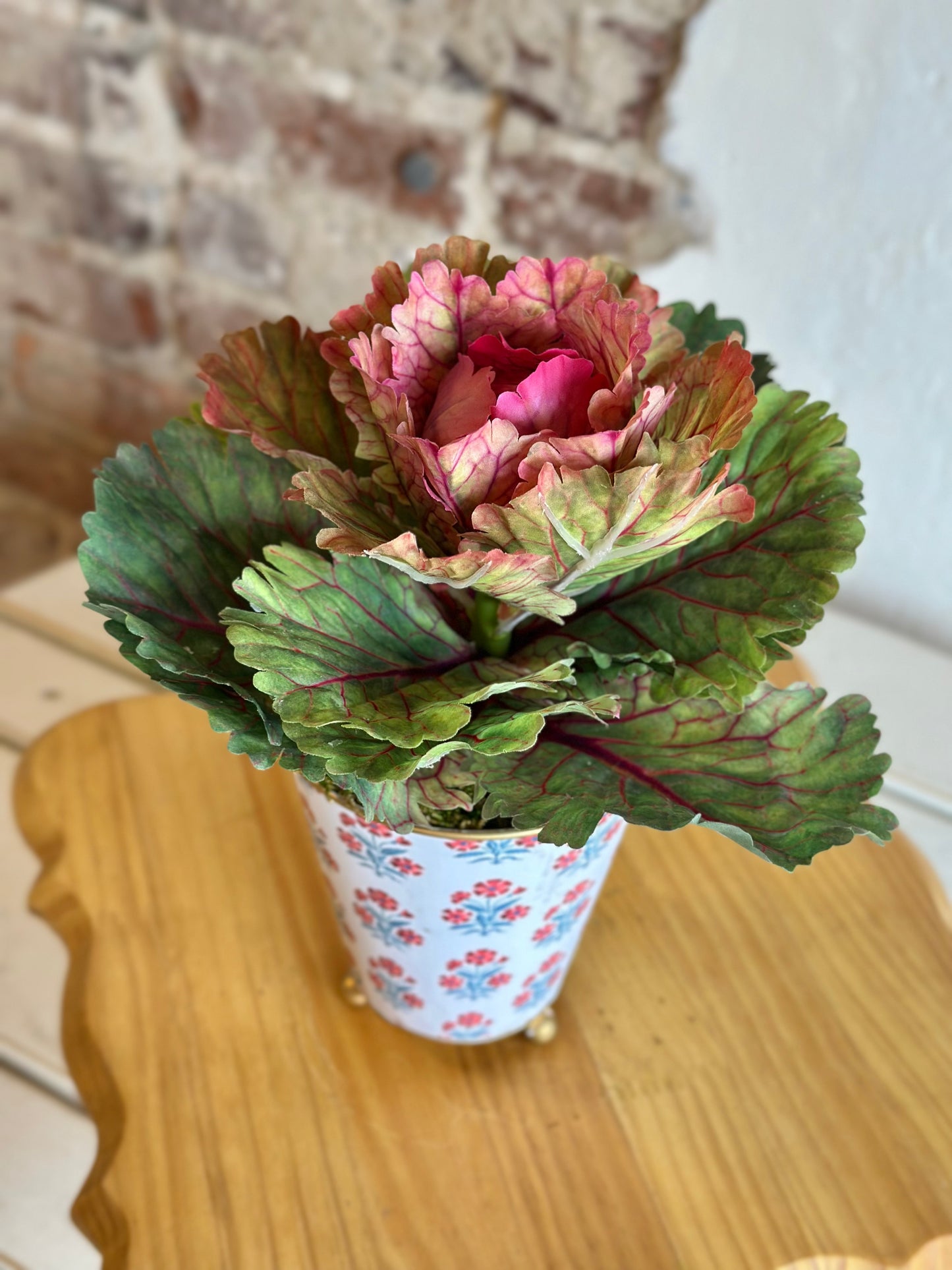 Potted Cabbage