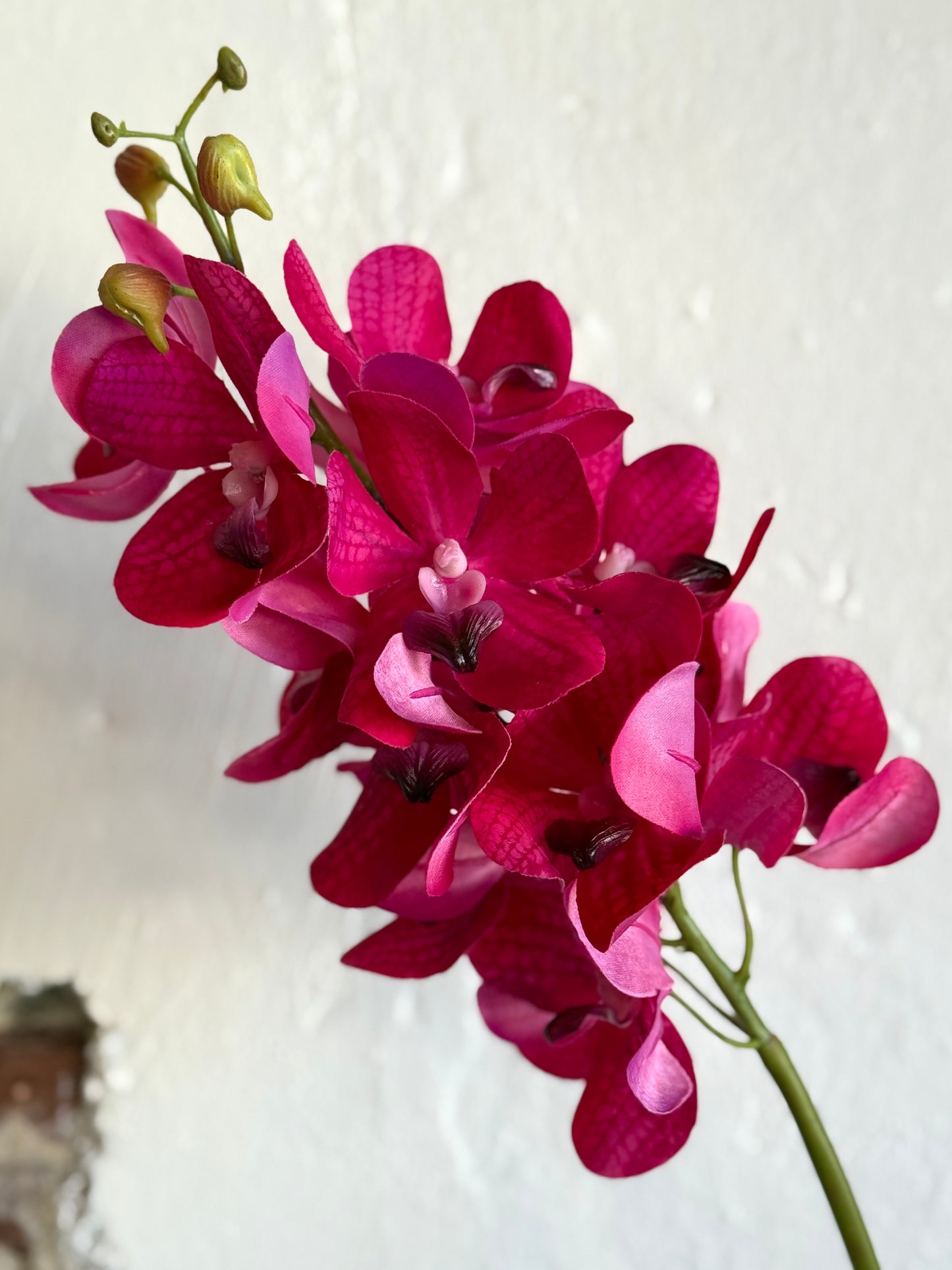 Just Cut Vanda Orchid Spray 27”
