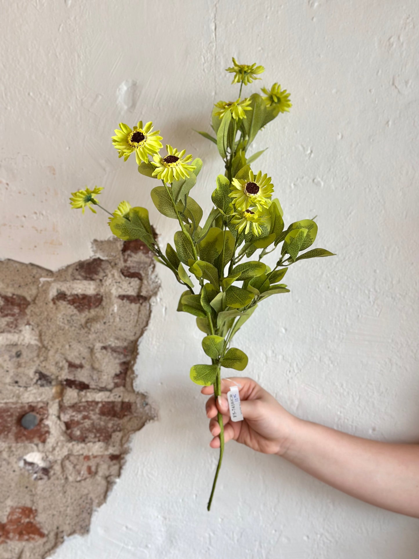 24” Daisy Bush