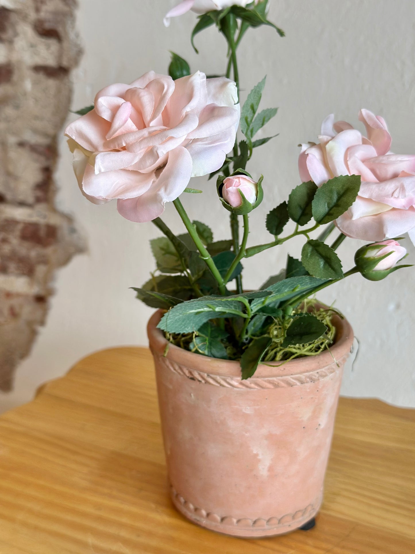 Blush Potted Roses