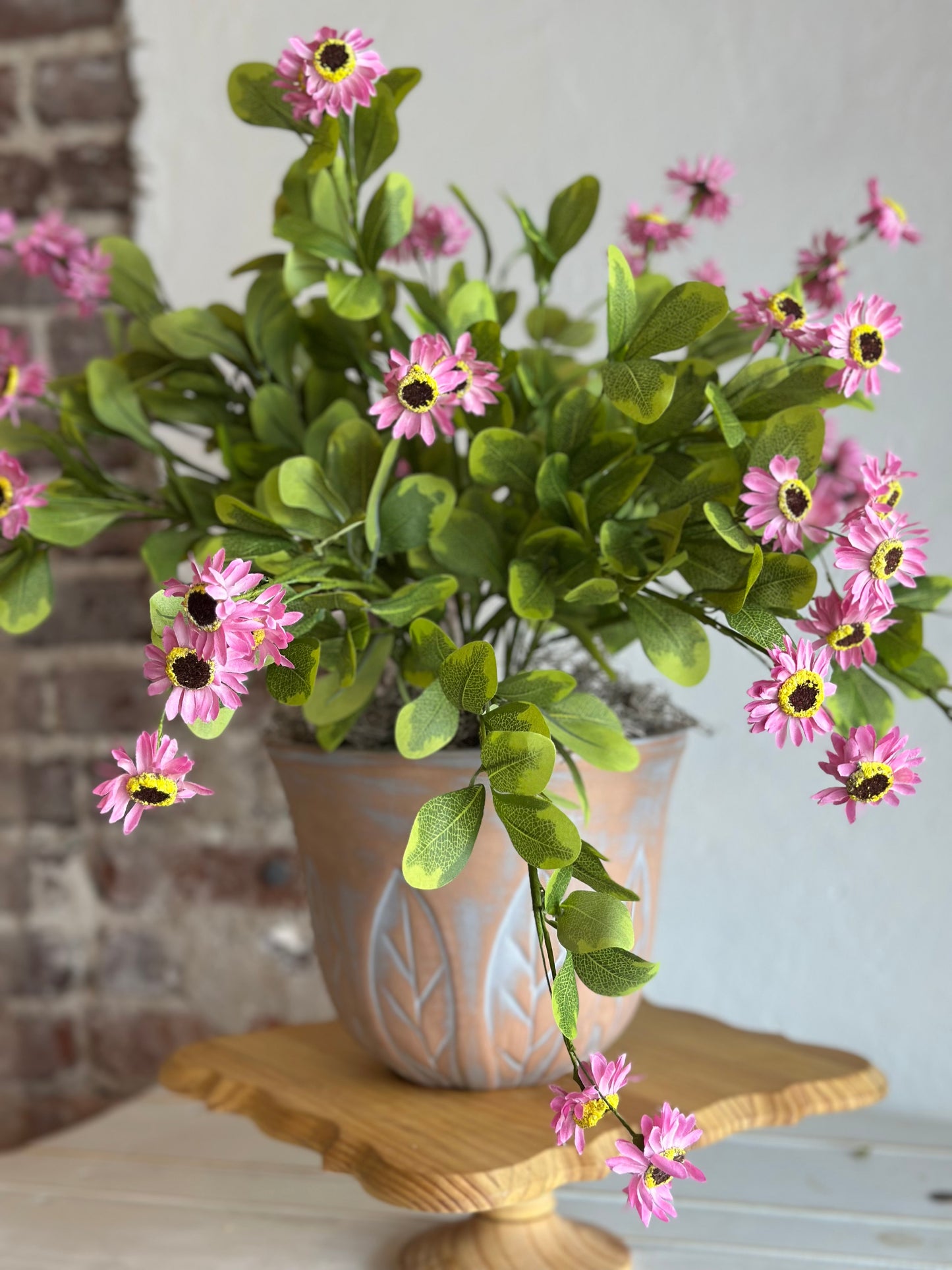 Potted Pink Daisies