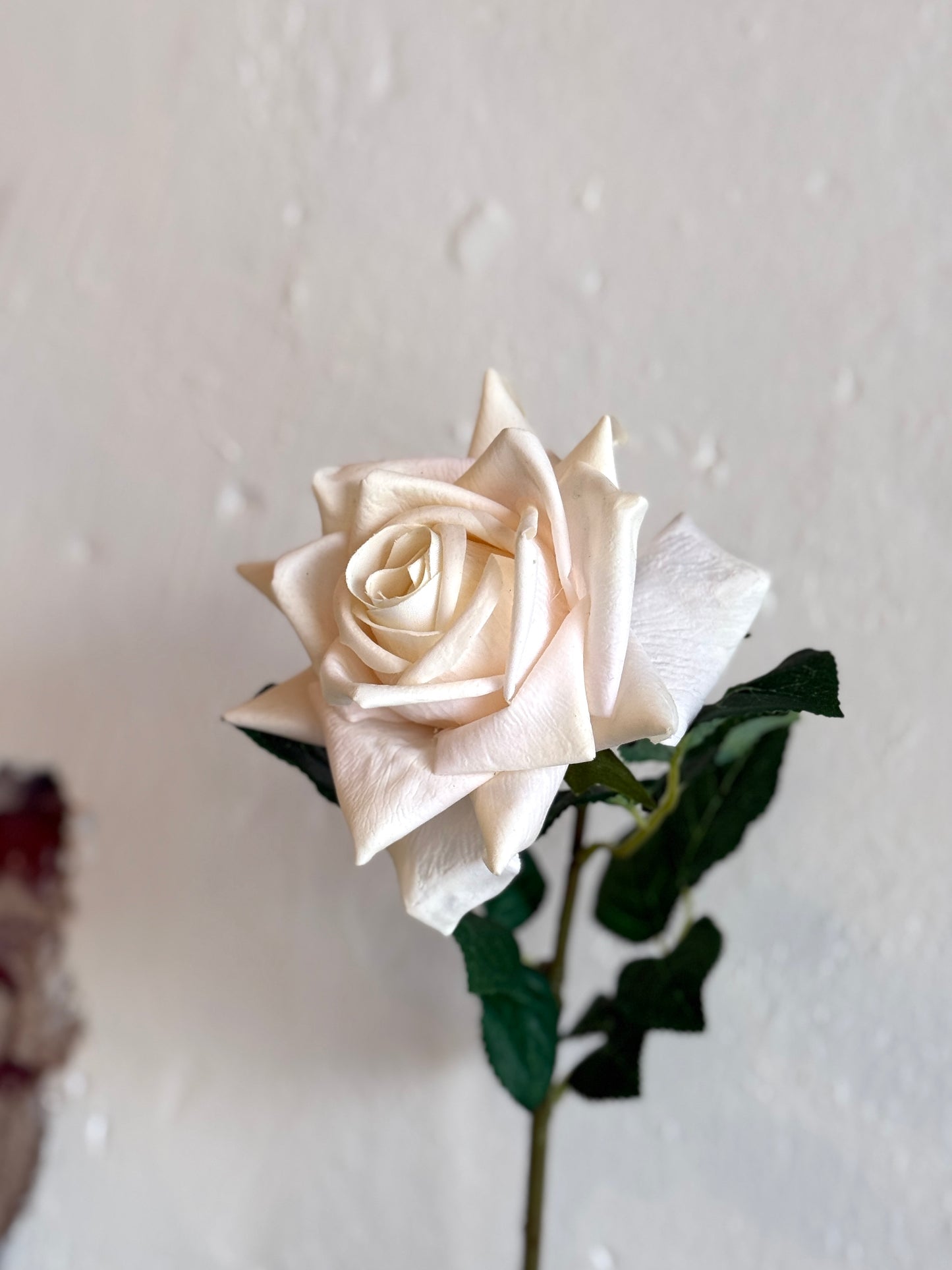 25" Cream White Real Touch Duchess Rose Stem