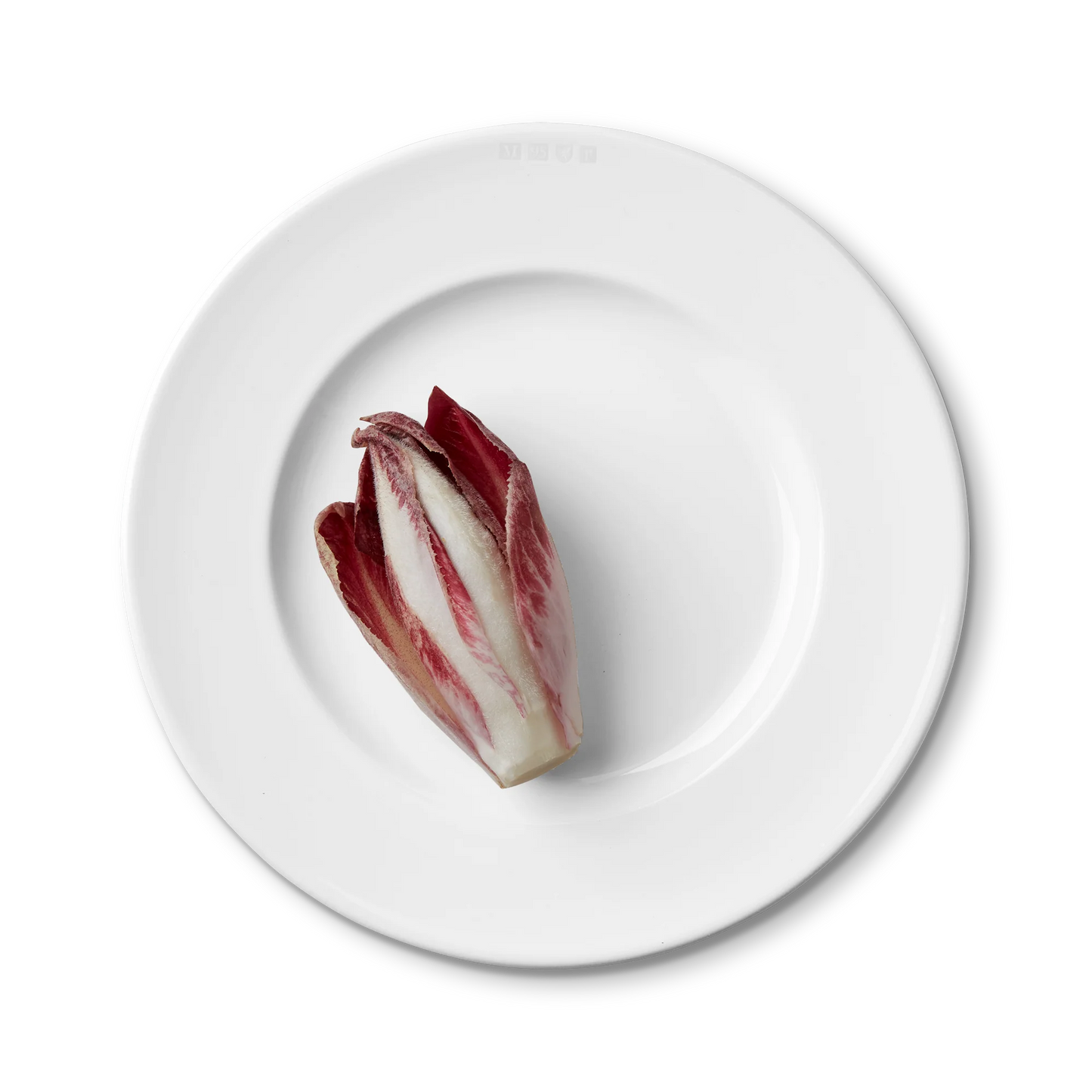 Match - 1508 Salad/Dessert Plate