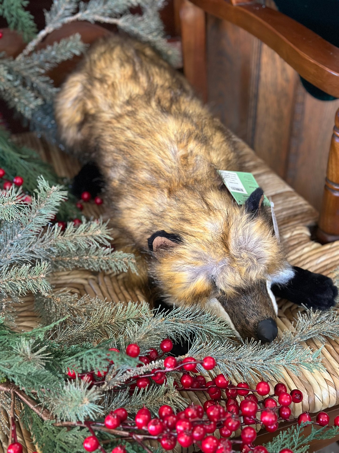 26" Red Fox