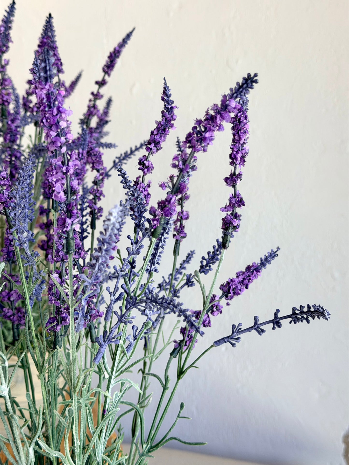 Potted Lavender