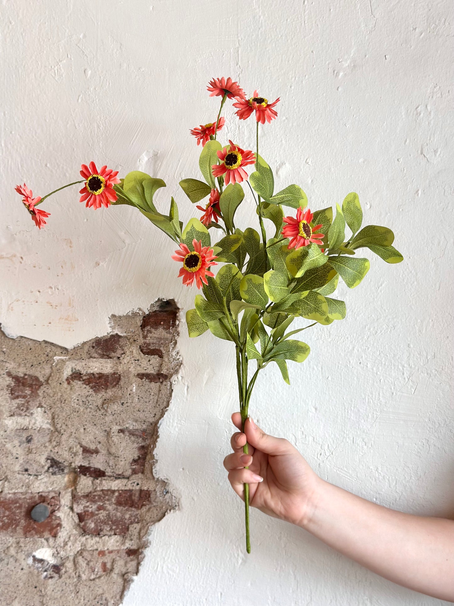 24” Daisy Bush