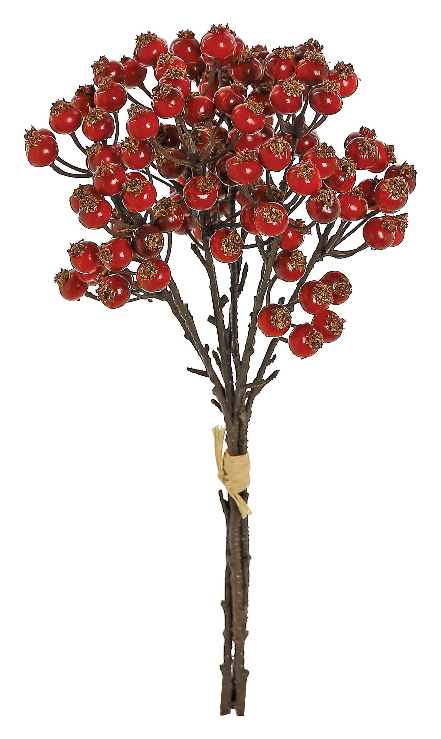Berry Cluster Bundle